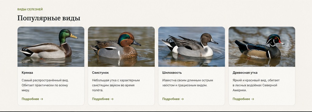 Селезни на воде